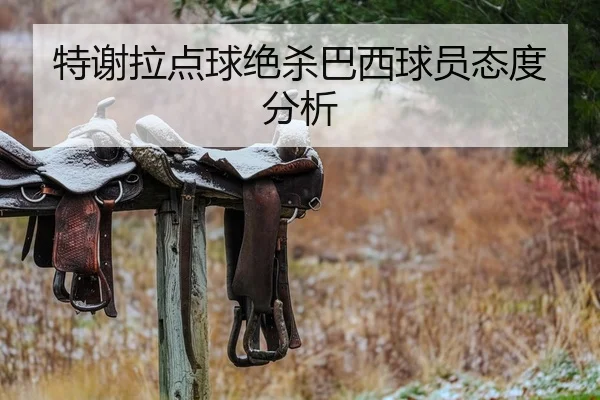 特谢拉点球绝杀巴西球员态度分析（biwei）